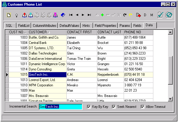 Query Form - Data View